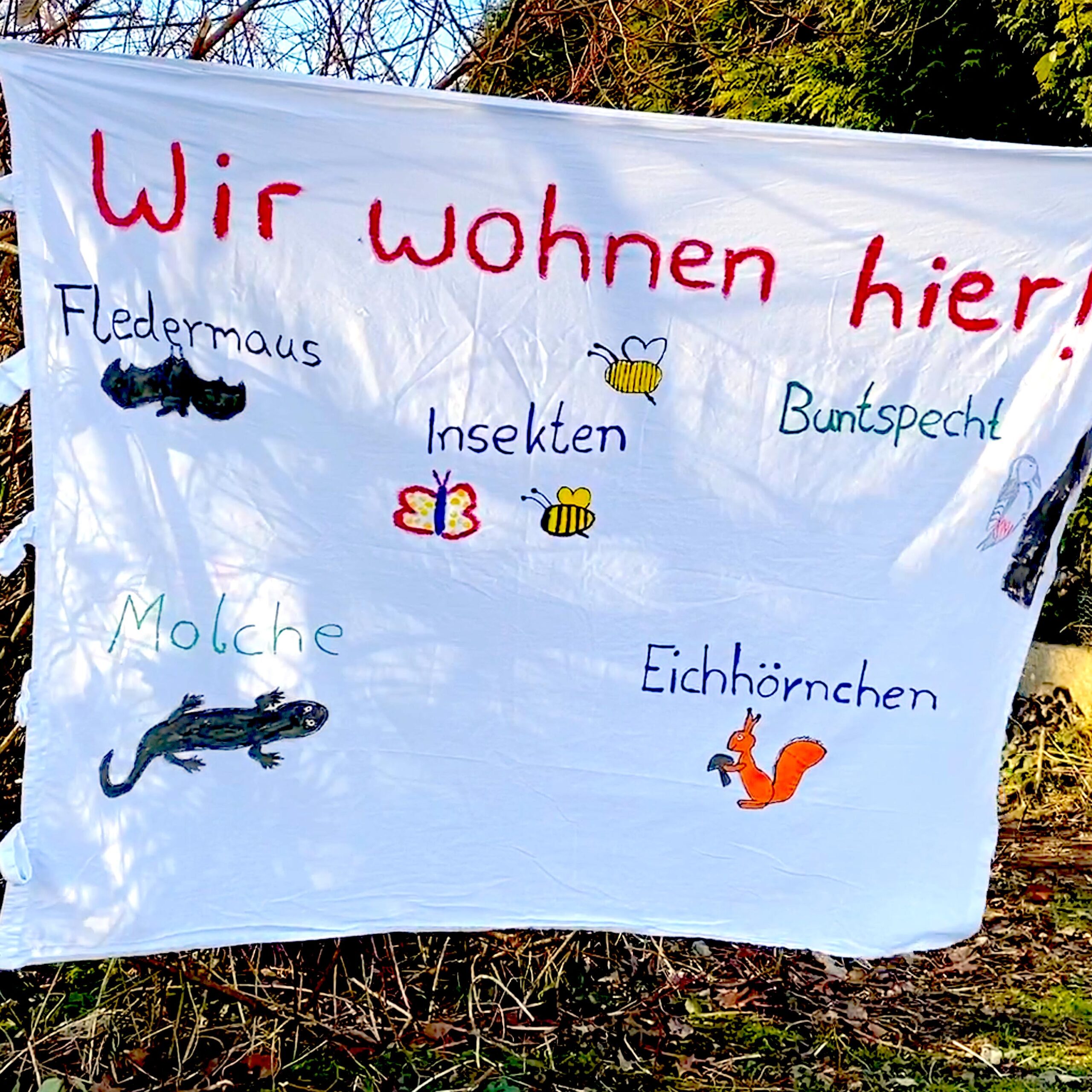 Plakat mit der Aufschrift "Wir wohnen hier!" und aufgemalten Fledermaus, Molch, Eichhörnchen, Buntspecht und Insekten und Schmetterlingen.